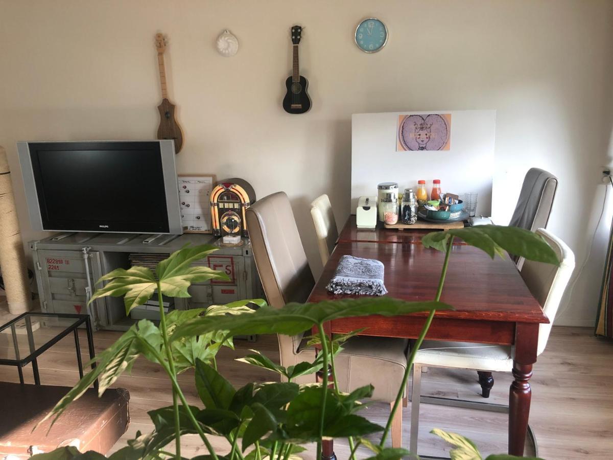 De Drei Schorre Bed & Breakfast Dreischor Ngoại thất bức ảnh